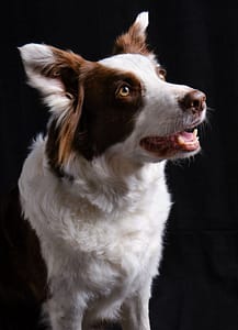 DSCF5458