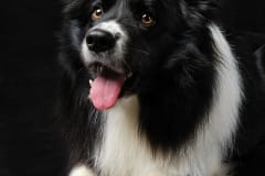 DSCF6177