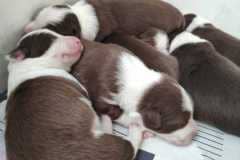 IMG-20210603-WA0019