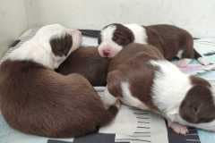 IMG-20210603-WA0087