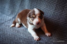 MG_2694-2