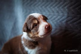 MG_2699-2