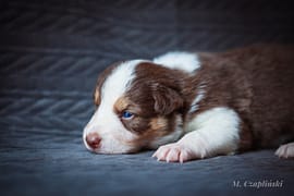 MG_2718-2
