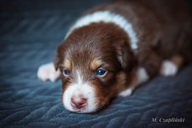 MG_2728-2