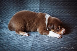 MG_2736-2