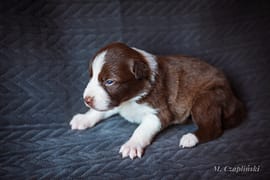 MG_2747-2