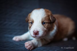 MG_2776-2
