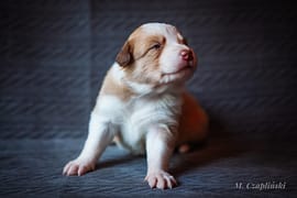 MG_2784-2