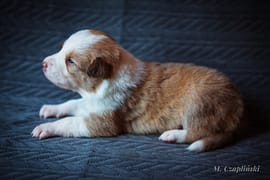 MG_2790-2