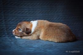 MG_2798-2