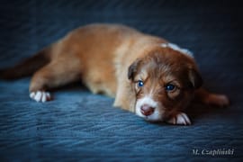 MG_2801-2