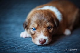 MG_2814-2