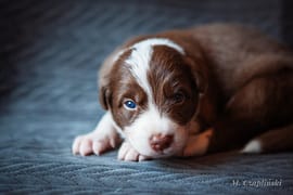 MG_2822-2