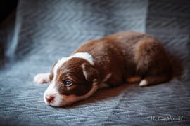 MG_2828-2