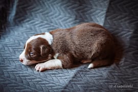 MG_2830-2