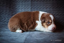 MG_2843-2