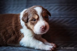 MG_2848-2