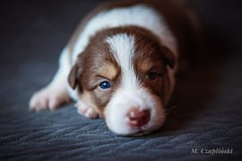MG_2861-2