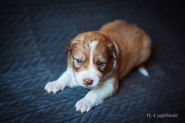 MG_2869-2