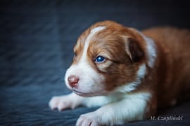 MG_2873-2