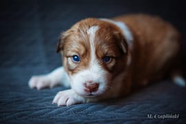 MG_2875-2