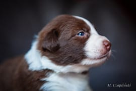 MG_2897-2