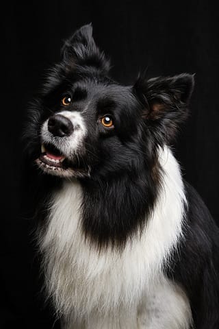 DSCF6153